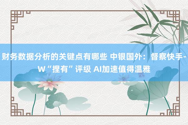 财务数据分析的关键点有哪些 中银国外：督察快手-W“捏有”评级 AI加速值得温雅