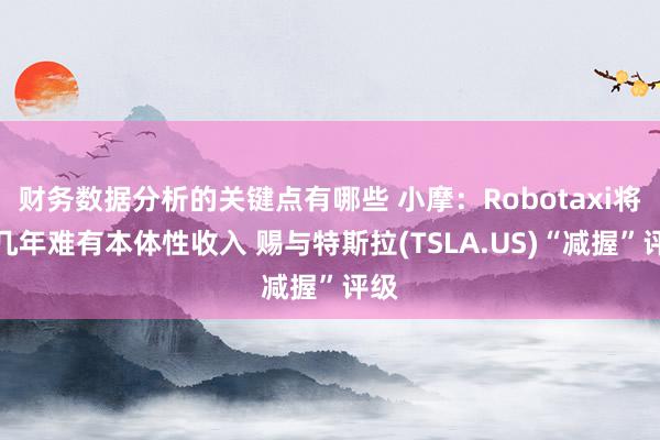 财务数据分析的关键点有哪些 小摩：Robotaxi将来几年难有本体性收入 赐与特斯拉(TSLA.US)“减握”评级