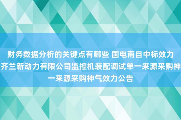 财务数据分析的关键点有哪些 国电南自中标效力：大唐海外齐兰新动力有限公司监控机装配调试单一来源采购神气效力公告