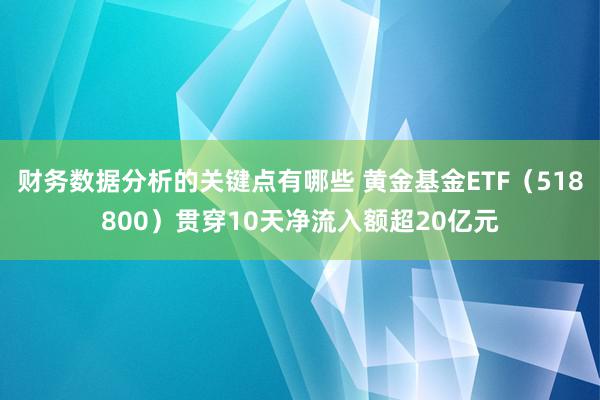 财务数据分析的关键点有哪些 黄金基金ETF（518800）贯穿10天净流入额超20亿元