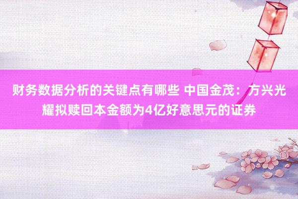 财务数据分析的关键点有哪些 中国金茂：方兴光耀拟赎回本金额为4亿好意思元的证券