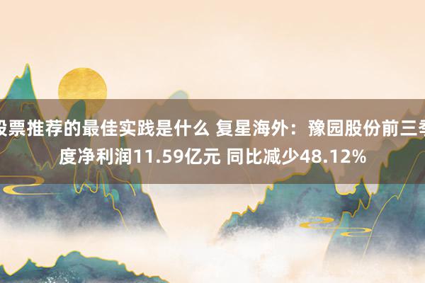 股票推荐的最佳实践是什么 复星海外：豫园股份前三季度净利润11.59亿元 同比减少48.12%