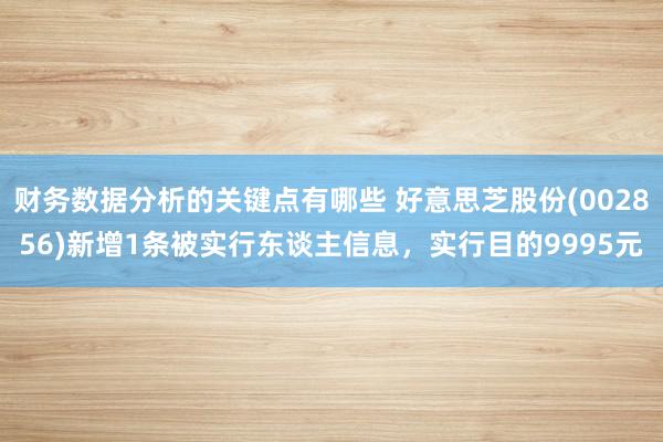 财务数据分析的关键点有哪些 好意思芝股份(002856)新增1条被实行东谈主信息，实行目的9995元