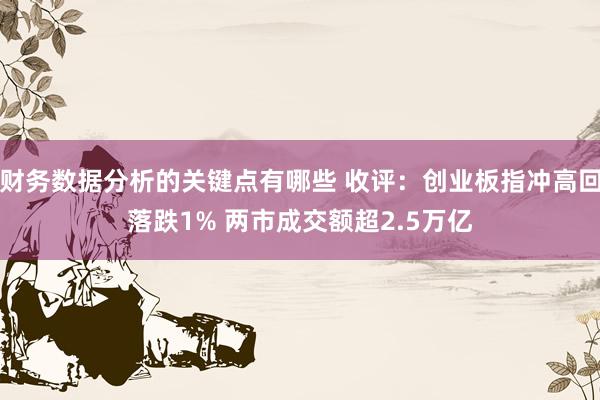 财务数据分析的关键点有哪些 收评：创业板指冲高回落跌1% 两市成交额超2.5万亿