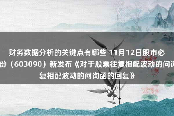 财务数据分析的关键点有哪些 11月12日股市必读：宏盛股份（603090）新发布《对于股票往复相配波动的问询函的回复》