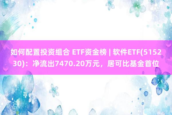 如何配置投资组合 ETF资金榜 | 软件ETF(515230)：净流出7470.20万元，居可比基金首位