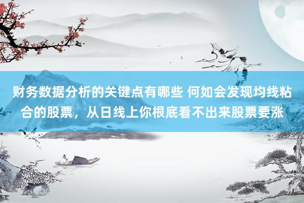 财务数据分析的关键点有哪些 何如会发现均线粘合的股票，从日线上你根底看不出来股票要涨