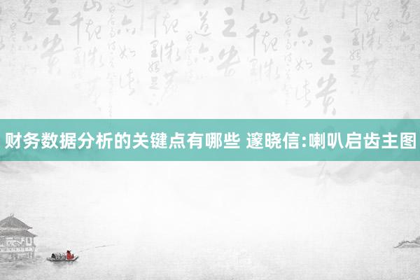 财务数据分析的关键点有哪些 邃晓信:喇叭启齿主图