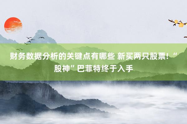 财务数据分析的关键点有哪些 新买两只股票! “股神”巴菲特终于入手