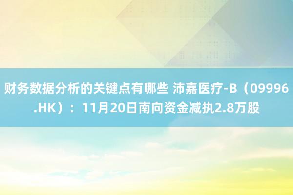 财务数据分析的关键点有哪些 沛嘉医疗-B（09996.HK）：11月20日南向资金减执2.8万股