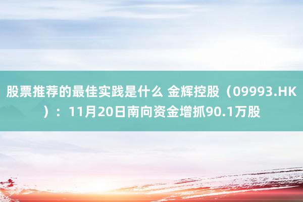 股票推荐的最佳实践是什么 金辉控股（09993.HK）：11月20日南向资金增抓90.1万股