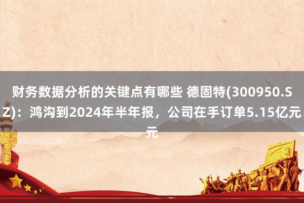 财务数据分析的关键点有哪些 德固特(300950.SZ)：鸿沟到2024年半年报，公司在手订单5.15亿元