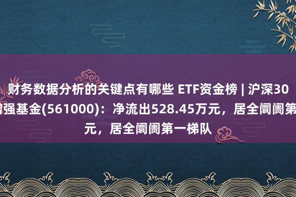 财务数据分析的关键点有哪些 ETF资金榜 | 沪深300ETF增强基金(561000)：净流出528.45万元，居全阛阓第一梯队