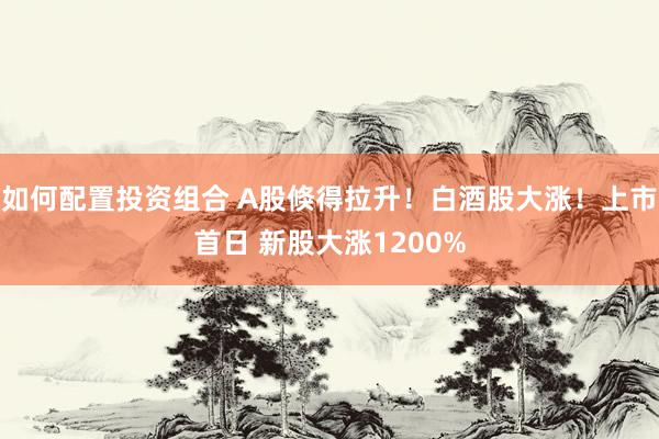 如何配置投资组合 A股倏得拉升！白酒股大涨！上市首日 新股大涨1200%