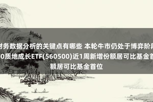 财务数据分析的关键点有哪些 本轮牛市仍处于博弈阶段 500质地成长ETF(560500)近1周新增份额居可比基金首位