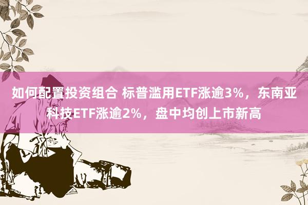 如何配置投资组合 标普滥用ETF涨逾3%，东南亚科技ETF涨逾2%，盘中均创上市新高