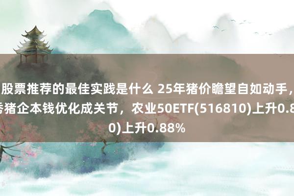 股票推荐的最佳实践是什么 25年猪价瞻望自如动手，优秀猪企本钱优化成关节，农业50ETF(516810)上升0.88%