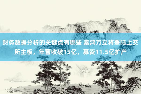 财务数据分析的关键点有哪些 泰鸿万立将登陆上交所主板，年营收破15亿，募资11.5亿扩产