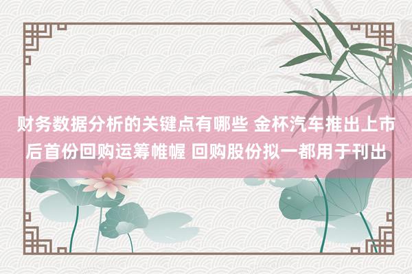 财务数据分析的关键点有哪些 金杯汽车推出上市后首份回购运筹帷幄 回购股份拟一都用于刊出