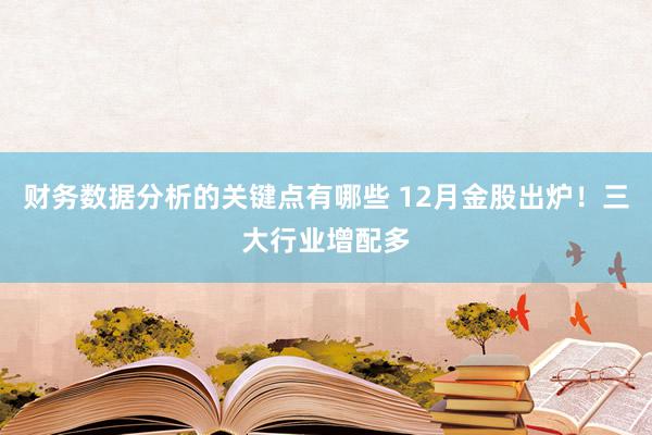 财务数据分析的关键点有哪些 12月金股出炉！三大行业增配多