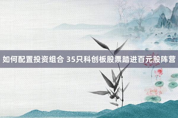 如何配置投资组合 35只科创板股票踏进百元股阵营