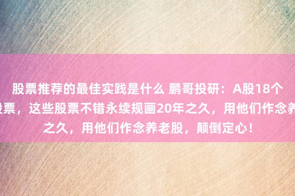 股票推荐的最佳实践是什么 鹏哥投研：A股18个具有把持特征的股票，这些股票不错永续规画20年之久，用他们作念养老股，颠倒定心！