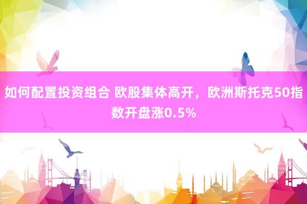 如何配置投资组合 欧股集体高开，欧洲斯托克50指数开盘涨0.5%