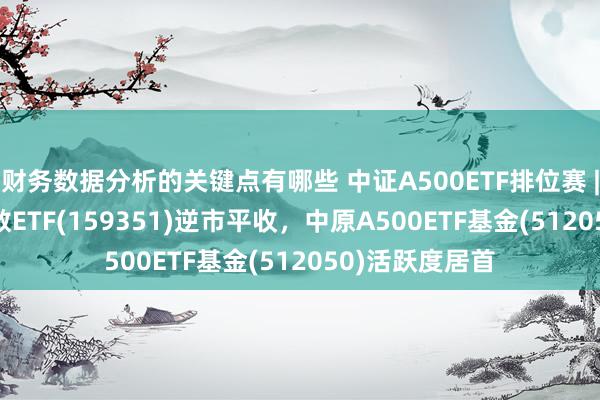 财务数据分析的关键点有哪些 中证A500ETF排位赛 | 嘉实A500指数ETF(159351)逆市平收，中原A500ETF基金(512050)活跃度居首