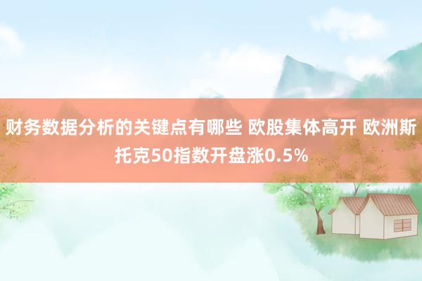 财务数据分析的关键点有哪些 欧股集体高开 欧洲斯托克50指数开盘涨0.5%