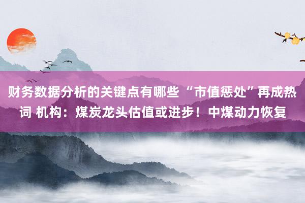 财务数据分析的关键点有哪些 “市值惩处”再成热词 机构：煤炭龙头估值或进步！中煤动力恢复