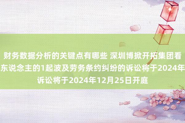 财务数据分析的关键点有哪些 深圳博掀开拓集团看成被告/被上诉东说念主的1起波及劳务条约纠纷的诉讼将于2024年12月25日开庭