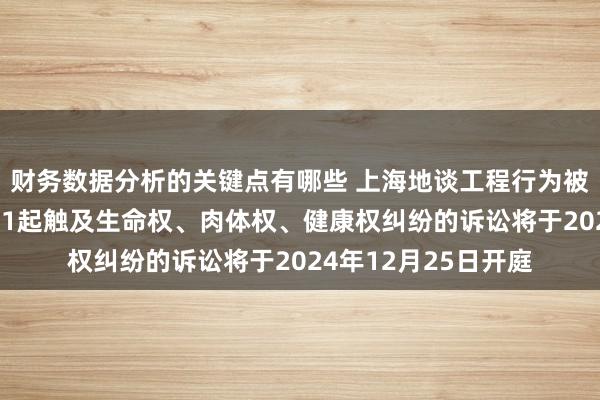 财务数据分析的关键点有哪些 上海地谈工程行为被告/被上诉东谈主的1起触及生命权、肉体权、健康权纠纷的诉讼将于2024年12月25日开庭