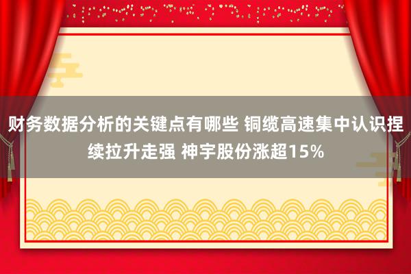 财务数据分析的关键点有哪些 铜缆高速集中认识捏续拉升走强 神宇股份涨超15%