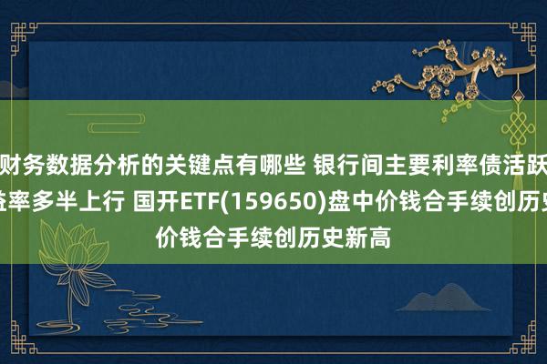 财务数据分析的关键点有哪些 银行间主要利率债活跃券收益率多半上行 国开ETF(159650)盘中价钱合手续创历史新高