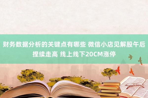 财务数据分析的关键点有哪些 微信小店见解股午后捏续走高 线上线下20CM涨停