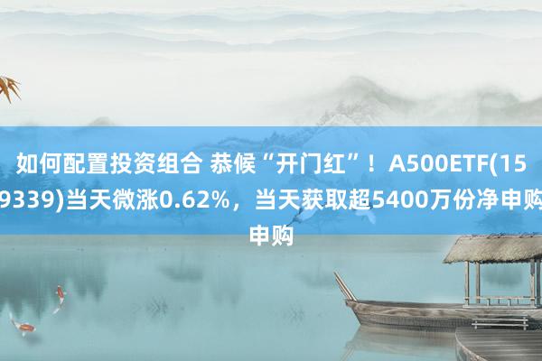 如何配置投资组合 恭候“开门红”！A500ETF(159339)当天微涨0.62%，当天获取超5400万份净申购