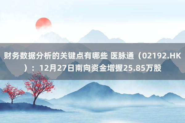 财务数据分析的关键点有哪些 医脉通（02192.HK）：12月27日南向资金增握25.85万股