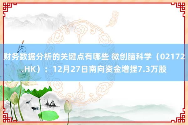 财务数据分析的关键点有哪些 微创脑科学（02172.HK）：12月27日南向资金增捏7.3万股