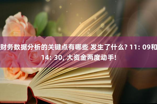 财务数据分析的关键点有哪些 发生了什么? 11: 09和14: 30, 大资金两度动手!