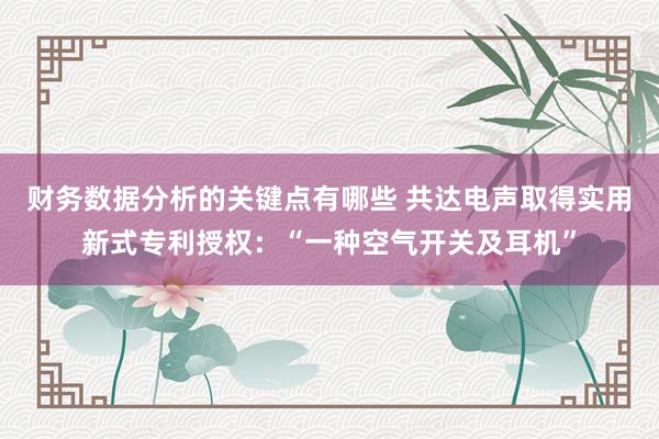 财务数据分析的关键点有哪些 共达电声取得实用新式专利授权：“一种空气开关及耳机”