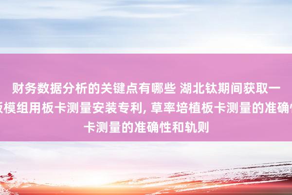 财务数据分析的关键点有哪些 湖北钛期间获取一种锂电板模组用板卡测量安装专利, 草率培植板卡测量的准确性和轨则