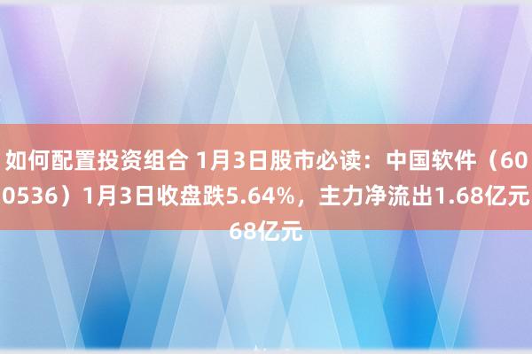 如何配置投资组合 1月3日股市必读：中国软件（600536）1月3日收盘跌5.64%，主力净流出1.68亿元