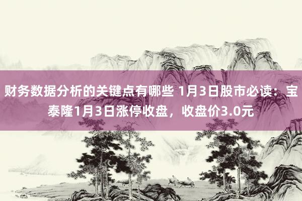 财务数据分析的关键点有哪些 1月3日股市必读：宝泰隆1月3日涨停收盘，收盘价3.0元