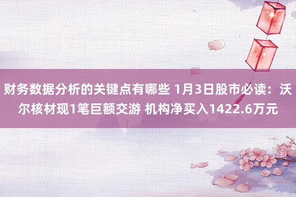 财务数据分析的关键点有哪些 1月3日股市必读：沃尔核材现1笔巨额交游 机构净买入1422.6万元