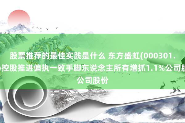 股票推荐的最佳实践是什么 东方盛虹(000301.SZ)控股推进偏执一致手脚东说念主所有增抓1.1%公司股份