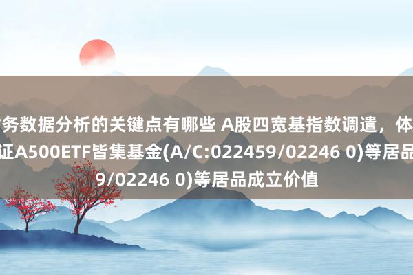 财务数据分析的关键点有哪些 A股四宽基指数调遣，体恤易方达中证A500ETF皆集基金(A/C:022459/02246 0)等居品成立价值