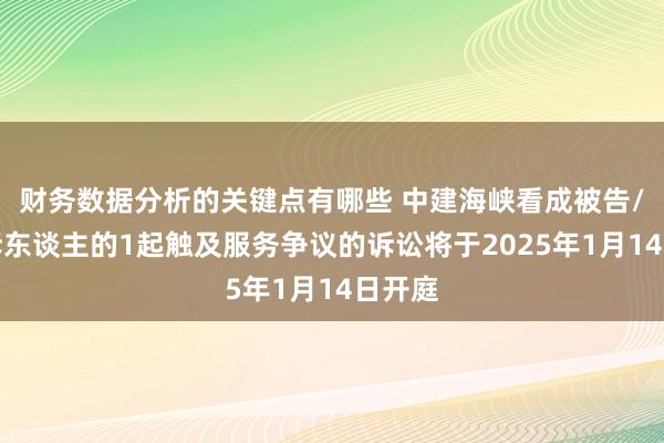 财务数据分析的关键点有哪些 中建海峡看成被告/被上诉东谈主的1起触及服务争议的诉讼将于2025年1月14日开庭