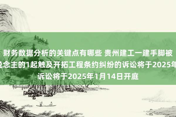 财务数据分析的关键点有哪些 贵州建工一建手脚被告/被上诉东说念主的1起触及开拓工程条约纠纷的诉讼将于2025年1月14日开庭