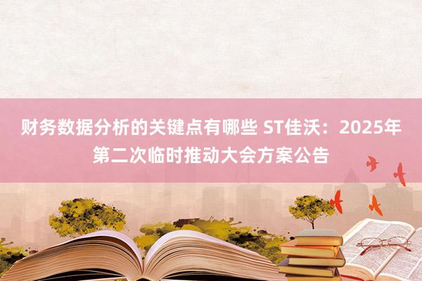 财务数据分析的关键点有哪些 ST佳沃：2025年第二次临时推动大会方案公告