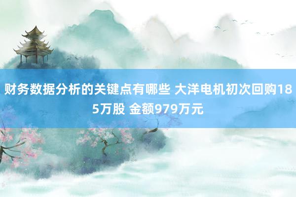 财务数据分析的关键点有哪些 大洋电机初次回购185万股 金额979万元